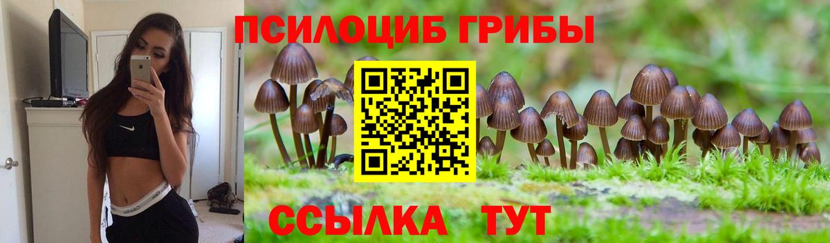 Псилоцибиновые грибы прущие грибы  Псилоцибиновые грибы Magic Shrooms  Вход с VPN  купить  цена  Серов 